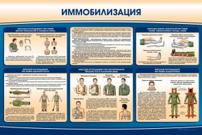 Стенд "Иммобилизация" - fgospostavki.ru - Смоленск