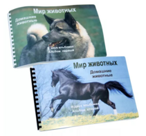 Пособие для слабовидящих - Домашние животные - fgospostavki.ru - Смоленск