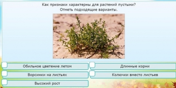 Интерактивные курсы. Окружающий мир 3 класс . Базовый. - fgospostavki.ru - Смоленск