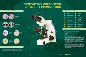 Электрифицированный стенд "Устройство микроскопа и правила работы c ним" - fgospostavki.ru - Смоленск