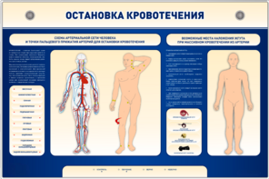 Электрифицированный стенд-тренажер "Остановка кровотечения" - fgospostavki.ru - Смоленск