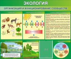 Стенд "Экология. Организация и функционирование сообществ" - fgospostavki.ru - Смоленск
