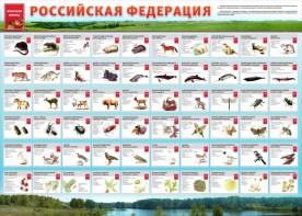 Стенд "Красная книга РФ" - fgospostavki.ru - Смоленск