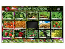 Комплект оборудования "Живой уголок" (растения) - fgospostavki.ru - Смоленск