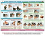 Комплект плакатов "Оказание первой доврачебной медицинской помощи" - fgospostavki.ru - Смоленск