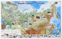 Магнитные карточки "Животные" - fgospostavki.ru - Смоленск