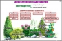 Комплект кодотранспарантов "Культурные растения" - fgospostavki.ru - Смоленск