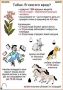 Комплект кодотранспарантов "Ядовитые растения" - fgospostavki.ru - Смоленск
